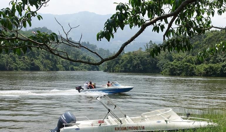 Arabian Nights Munnar